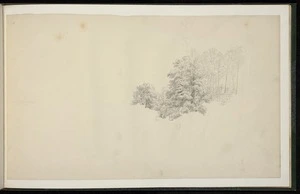 Guérard, Eugen von, 1811-1901: [Bush scene, Tasmania or Victoria. 1875-1878]