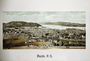 Willis, Archibald Duddington (Firm) :Dunedin, N. Z. W. Potts, lith, A. D. Willis lithographer, Wanganui, N. Z. Burton Bros ph[oto]. [Plate 11, 1889]