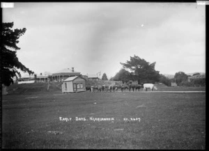 Ngaruawahia "early days", circa 1910