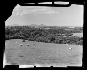 Whangarei Heads from Brynderwyn, Northland