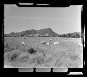 Marsden Point, Northland