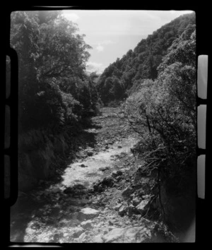 Otira Gorge, Westland, West Coast