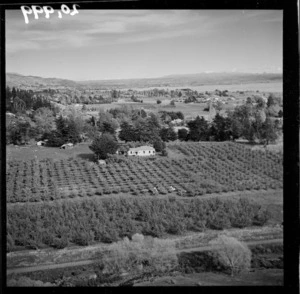 View of Annesbrook Orchard, Nelson