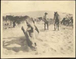 Troop horse rolling in the sand