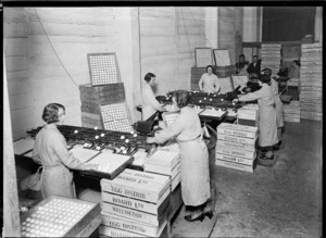 Women packing eggs for distribution