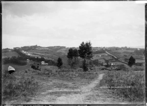 General view of Mayfield, Auckland