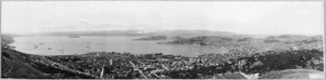 Panorama of Wellington from Wireless Station, Tinakori Hill