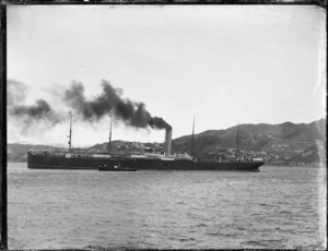 Steamship `Kaikoura', Wellington