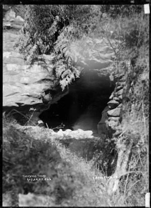 Cave mouth at Te Uku, 1910 - Photograph taken by Gilmour Brothers