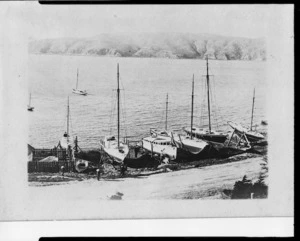 Yachts at Balaena Bay, Wellington