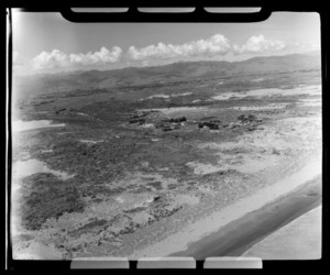 Beach near Levin, Horowhenua District, Manawatu-Wanganui Region