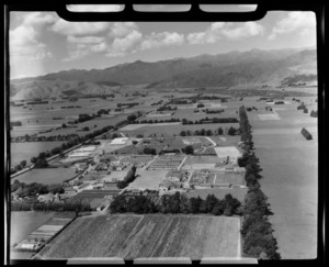 Levin, Horowhenua District, Manawatu-Wanganui Region