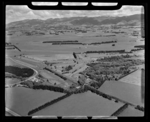 Golf links, Dannevirke, Tararua District, Manawatu-Wanganui Region