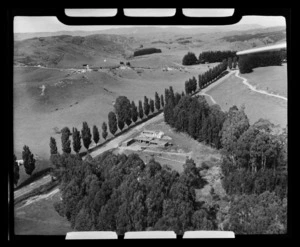 Between Waikare and Mohaka, Hastings District, Hawke's Bay Region