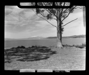 Lake Taupo from the foreshore, Waikato Region