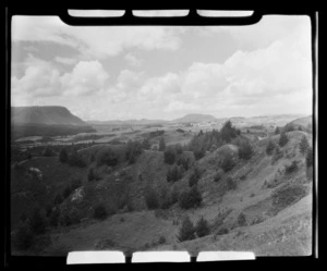 Horohoro and rural Rotorua, Taupo District, Waikato Region