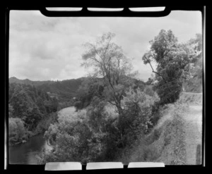 Whanganui River, rural area near Taumaranui and Aukopane, Manawatu-Wanganui Region