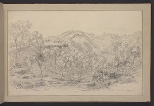 Guérard, Eugen von, 1811-1901: Crater of Mount Eeles [Eccles]. 24 June 1856
