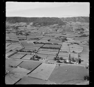 Farm, Matamata, Waikato Region