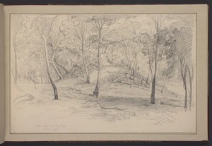 Guérard, Eugen von, 1811-1901: Calam Calam by Kangatang [Kangatong]. 26 June 1856