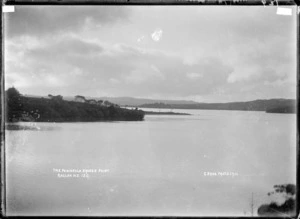 The Peninsula, Bruce's Point, Raglan Harbour, 1910 - Photograph taken by Gilmour Brothers