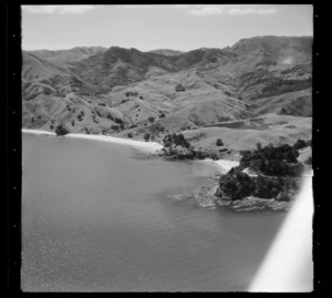 Coromandel coast, Thames-Coromandel District, Waikato Region