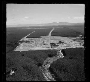 Kaingaroa Forest, Rotorua District, Bay of Plenty Region