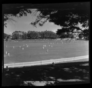 Cricket at Auckland Domain, Auckland Region