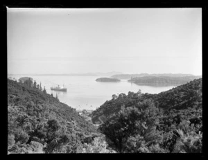 Ship Port Vindex, Opua, Northland