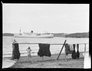 Ship Port Vindex, Opua, Far North District, Northland Region