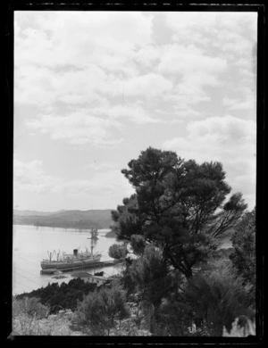 Ship Port Vindex, Opua, Far North District, Northland Region