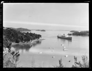 Ship Port Vindex, Opua, Far North District, Northland Region