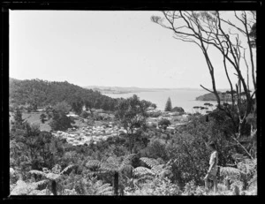 Camping ground at Paihia, Bay of Islands, Far North District, Northland Region