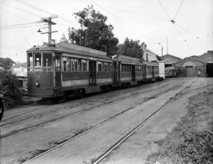 Trams for sale, Newtown, Wellington