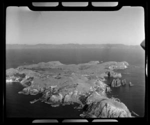 Great Mercury Island, Mercury Islands, Waikato Region