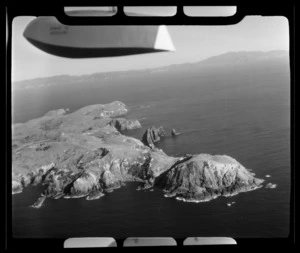 Great Mercury Island, Mercury Islands, Waikato Region