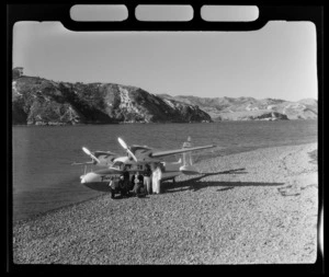 Great Mercury Island, Mercury Islands, Waikato Region