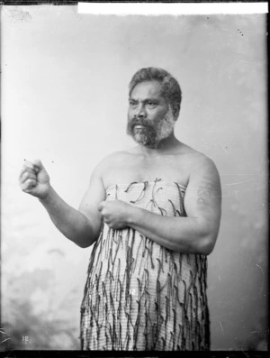 Te Mahi - Photograph taken by William Henry Thomas Partington