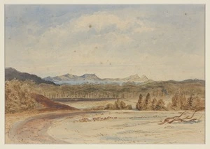 Fox, William, 1812-1893. At Maungatapere. Mr Walton's place, near Wangarei