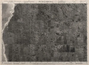 Pungarehu / compiled by NZ Aerial Mapping Ltd. for Lands and Survey Dept. N.Z.