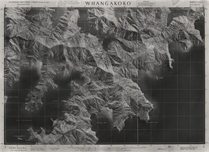 Whangakoko / this mosaic compiled by N.Z. Aerial Mapping Ltd. for Lands and Survey Dept., N.Z.