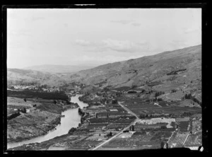 Orchards, Roxburgh, Otago Region