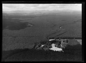 Whakatane mills forest, Kaingaroa, Whakatane District, Bay of Plenty Region