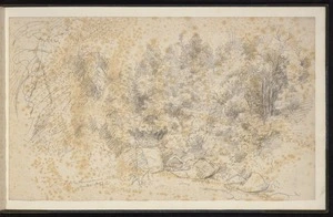 Guérard, Eugen von, 1811-1901: Near the water reservoir Dunedin. 4 Feb. 76