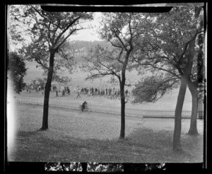 Auckland Domain