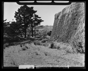 Mount Roskill, Auckland City