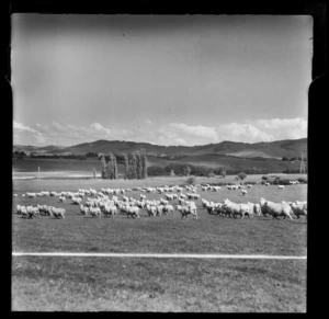 Rural Karapiro, Matamata-Piako District, Waikato Region