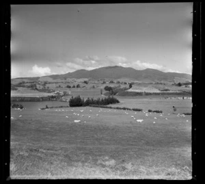 Rural Karapiro, Matamata-Piako District, Waikato Region