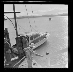 Boat Esperanza at Paihia, Bay of Islands, Far North District, Northland Region