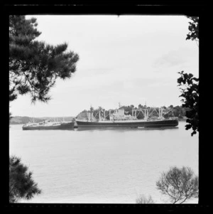 The Argentinean Reefer and the ship Otaio at Opua, Bay of Islands, Far North District, Northland Region